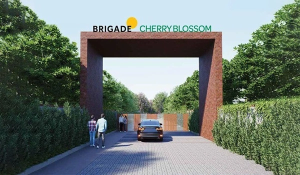 Brigade Cherry Blossom