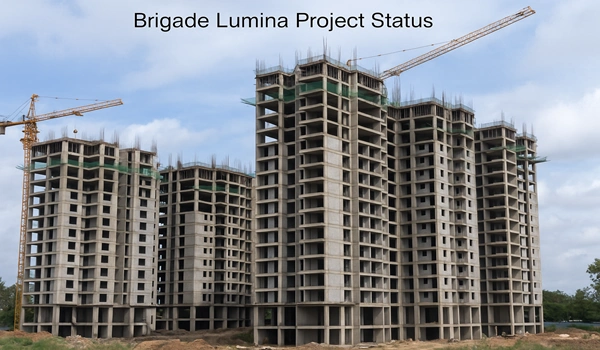 Featured Image of Brigade Lumina Project Status